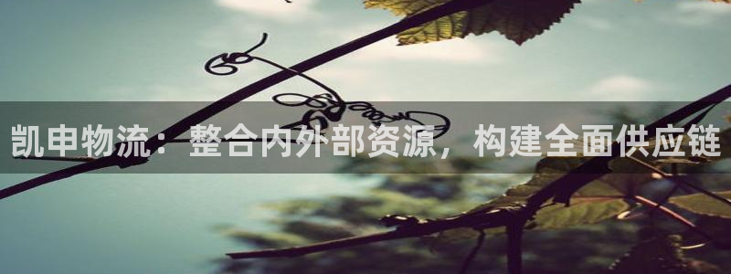超凡国际加拿大怎么玩：凯申物流：整合