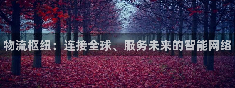 超凡国际大神预测：物流枢纽：连接全球