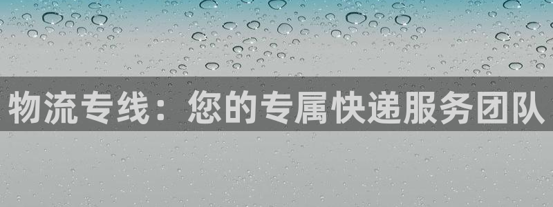 超凡国际注册平台：物流专线：您的专属快递服务团队
