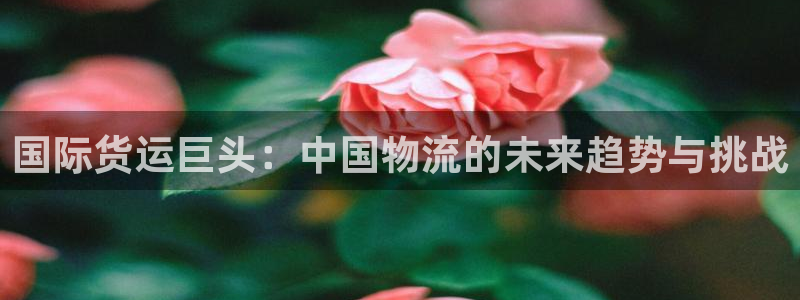 超凡国际ccm游戏