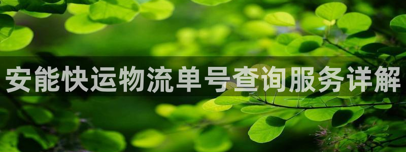 超凡国际不给提现：安能快运物流单号查