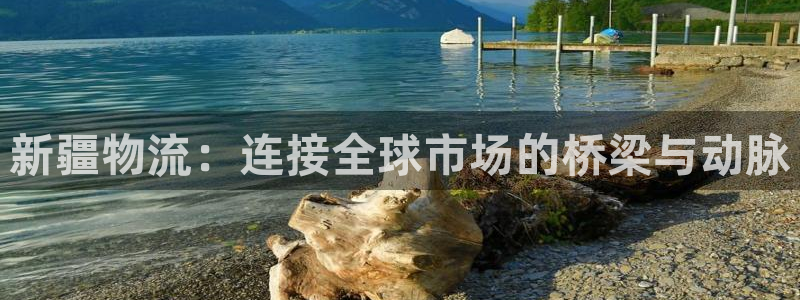 超凡国际忘记账号：新疆物流：连接全球