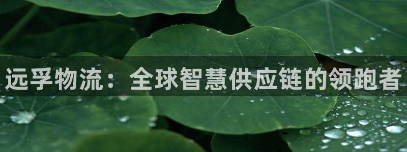 超凡国际现在狂杀：远孚物流：全球智慧