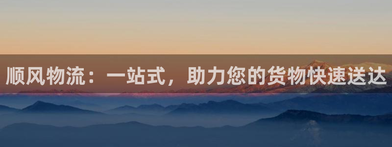 超凡国际怎么下载教程:顺风物流:一站
