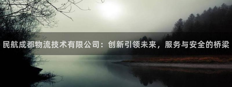 超凡国际起来的符号：民航成都物流技术