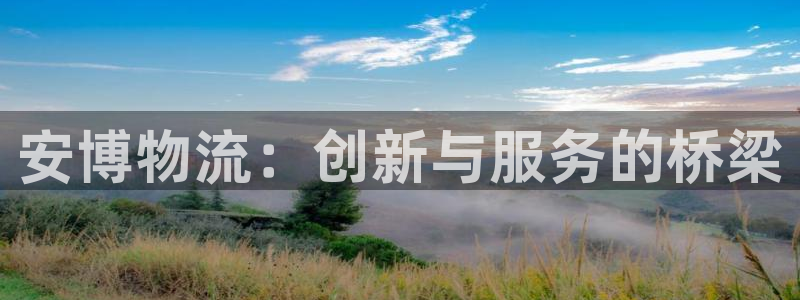 超凡国际加拿大最新版:安博物流:创新