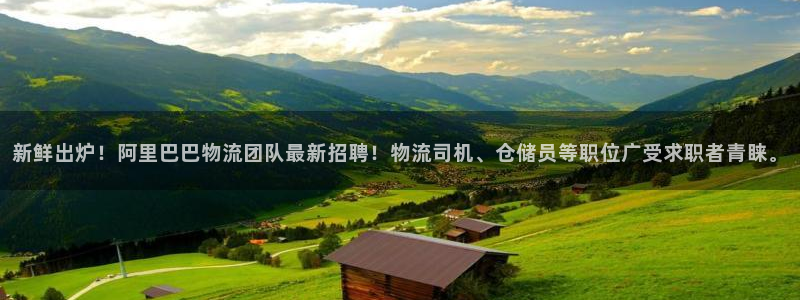 超凡国际机器人是什么软件:新鲜出炉!