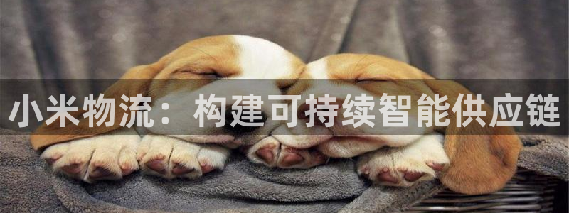 超凡国际app赢了500万：小米物流