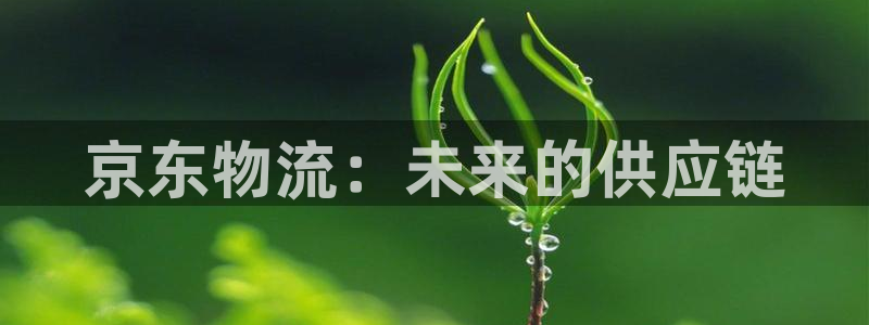 超凡国际：京东物流：未来的供应链